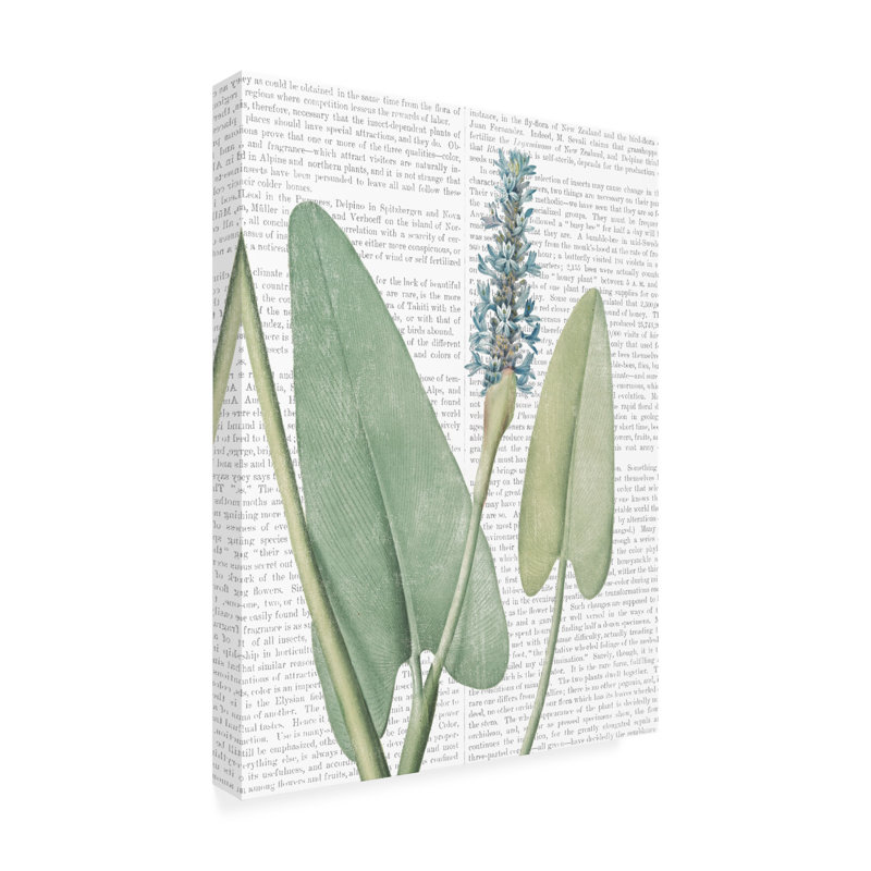 Art sur toile, «Wild Botanicals IV», H 19 po x l 14 po x P 2 po
