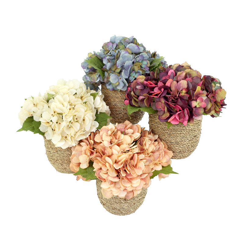 Arrangements floraux d'hortensias d'automne Carytown