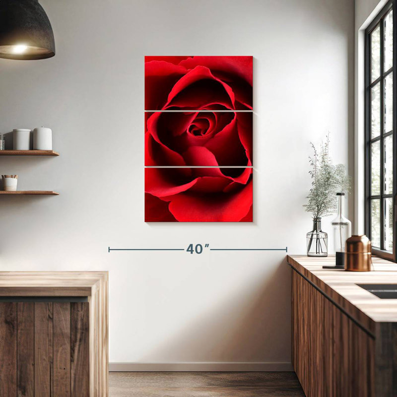Harnek Close-up View Of Red Rose
