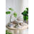 Aristizabal Coral Look Octopus 11" x 9.5" x 5" White