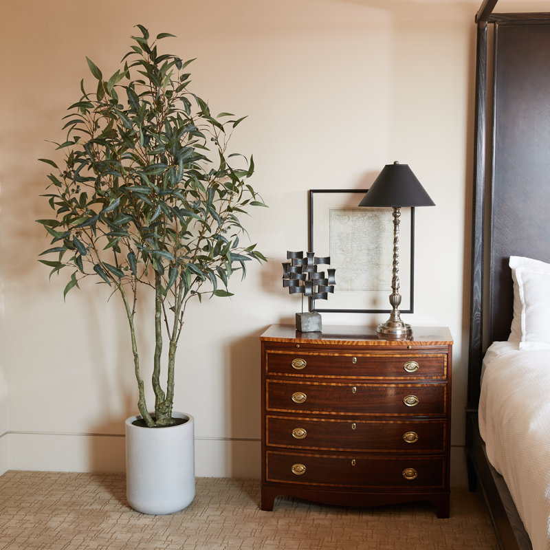 TREE 7FT Willow Eucalyptus KD