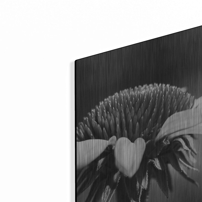 «Coneflower» par Lori Deiter, H 12 po x l 16 po