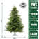 Foxtail Pine 7.5' Green Pine Artificial Christmas Tree