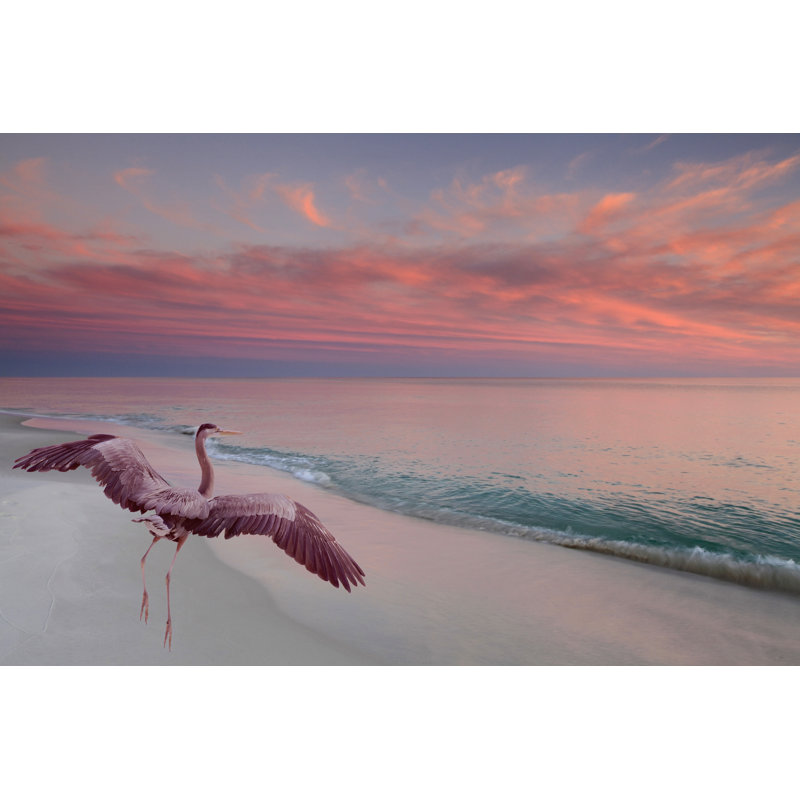 Great Blue Heron - Wrapped Canvas Print, 20cm H x 30cm W x 3.8cm D
