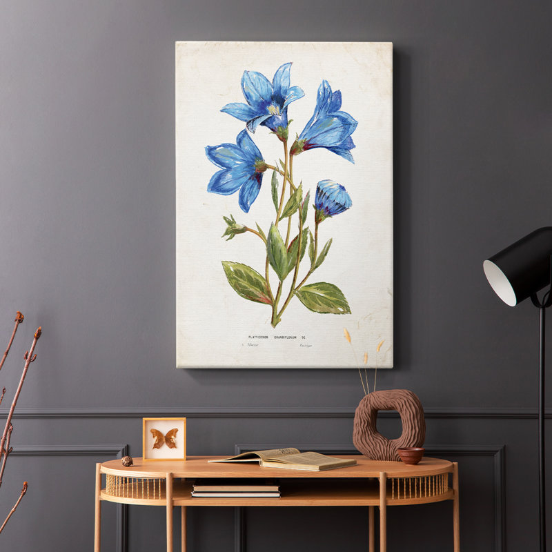 Botanique II - Cavas enveloppés de galerie
