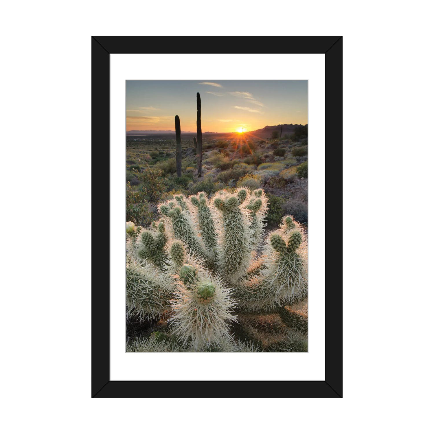 92 Cacti ideas  cactus art, cactus paintings, cactus painting