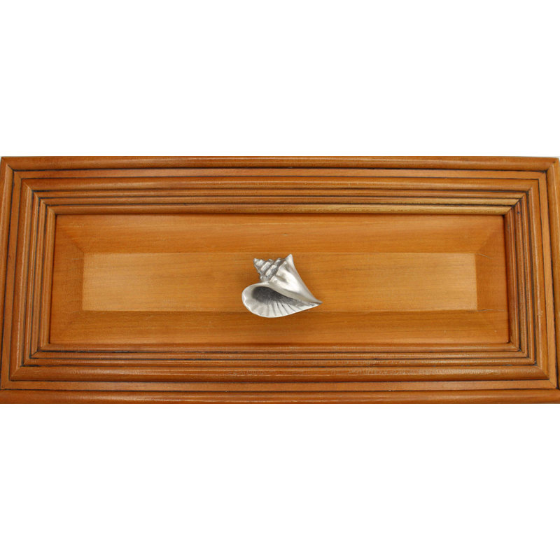 2" Conch Shell Knob, Brushed Nickel