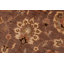 Dorn Wool Oriental Indoor Rug
