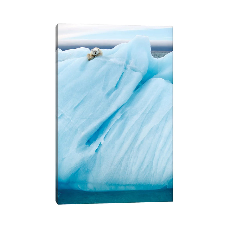 Observing by Joan Gil Raga - Print on Canvas, 66.04cm H x 45.72cm W x 3.81cm D, Wrapped Canvas
