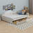 Upholstered Platform Bed With Built In USB Ports  And 2 Drawers-1881145133