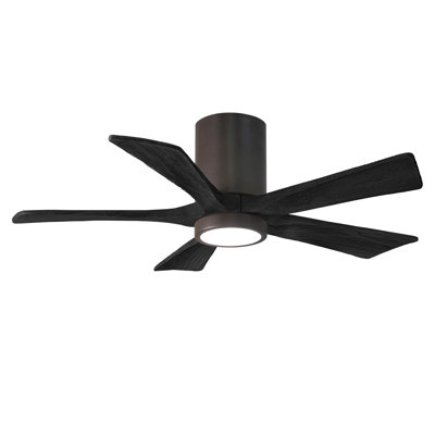 Irene Ceiling Fan with LED Light Kit