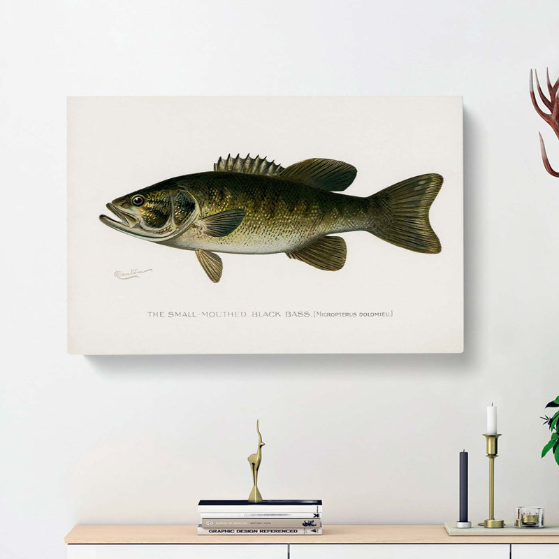 Small-Mouthed Black Bass by Sherman F. Denton - Wrapped Canvas, 50cm H x 76cm W x 3cm D