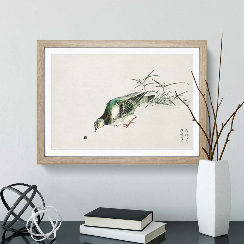 Eastern Turtle Dove by Numata Kashu - Picture Frame Painting Print, 48cm H x 65cm W x 2cm D, Oak Framed
