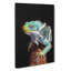 Fiji Iguana - Wrapped Canvas-56643052