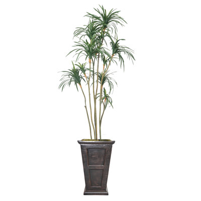 Arbre de dragon artificiel en pot 93 po