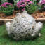Statue de jardin classique "Earl" Toad Hollow-1476390756
