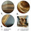 Golden Ratio Spiral - Abstract Spirals Metal Wall Decor-552490555