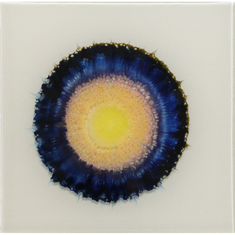 Allison Esley Handmade Boho Abstract Wall Decor on Resin