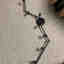 Photos des clients 1 de 1