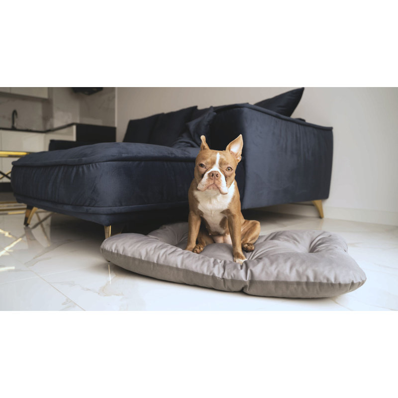 Solon Pet Bed, 10cm H x 90cm W x 73cm D, Grey, Extra Large