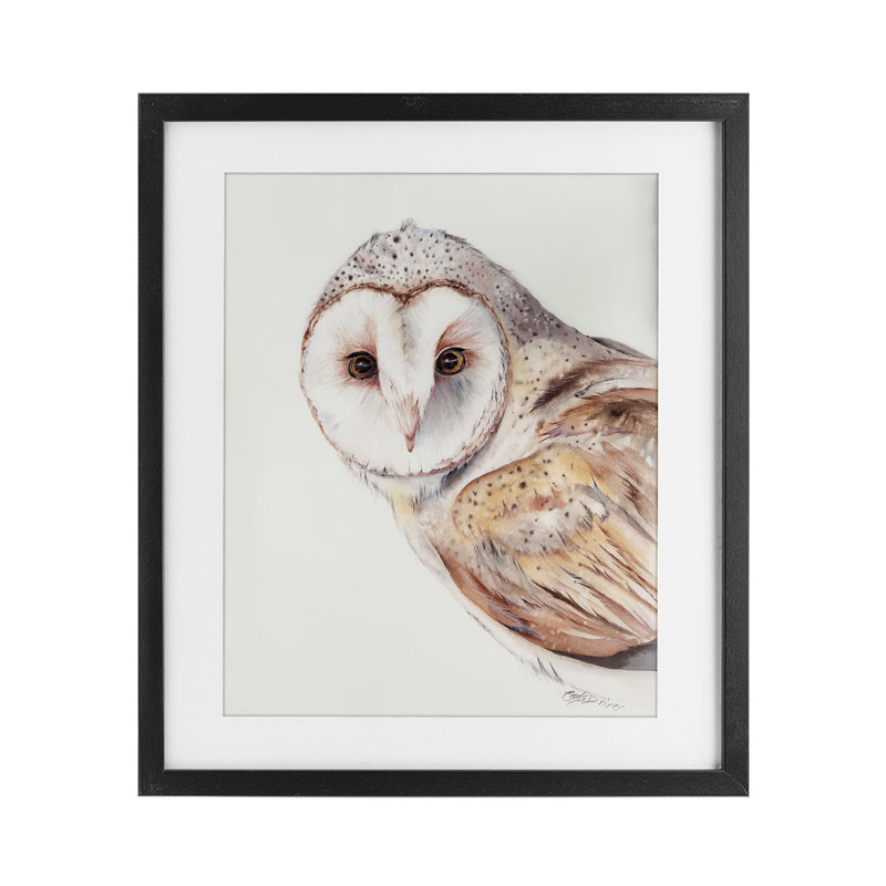 «Peeking Barn Owl Gaze», reproduction encadrée sous verre, conception de Cady, Cadre noir minuit, H 16 po x l 13 po