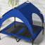Cooling Raised Dog Bed with Breathable Mesh for Dogs-97416368-97416369