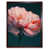 Brown Framed Paper selected