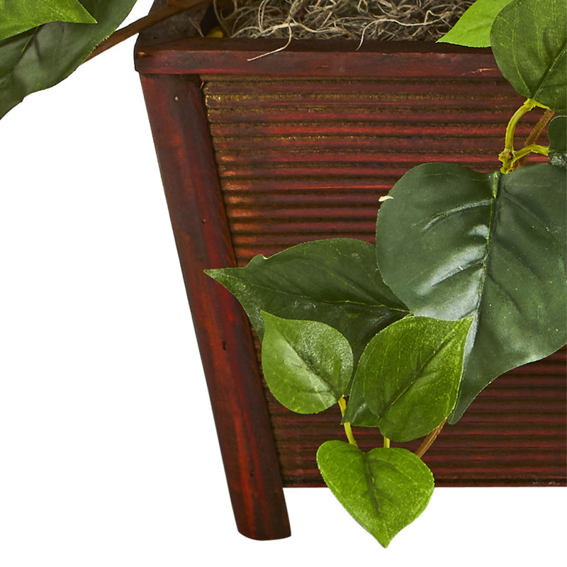 Plante florale pour bureau bougainvillea, Mauve