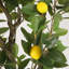  Citronnier artificiel 61 po avec jardinière noire