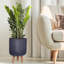 Ribbed Cylinder Planter with Feet-1753896807-1753896809