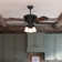 54" Promenade 5 - Blade ENERGY STAR Ceiling Fan with Remote Control and LED Light Included