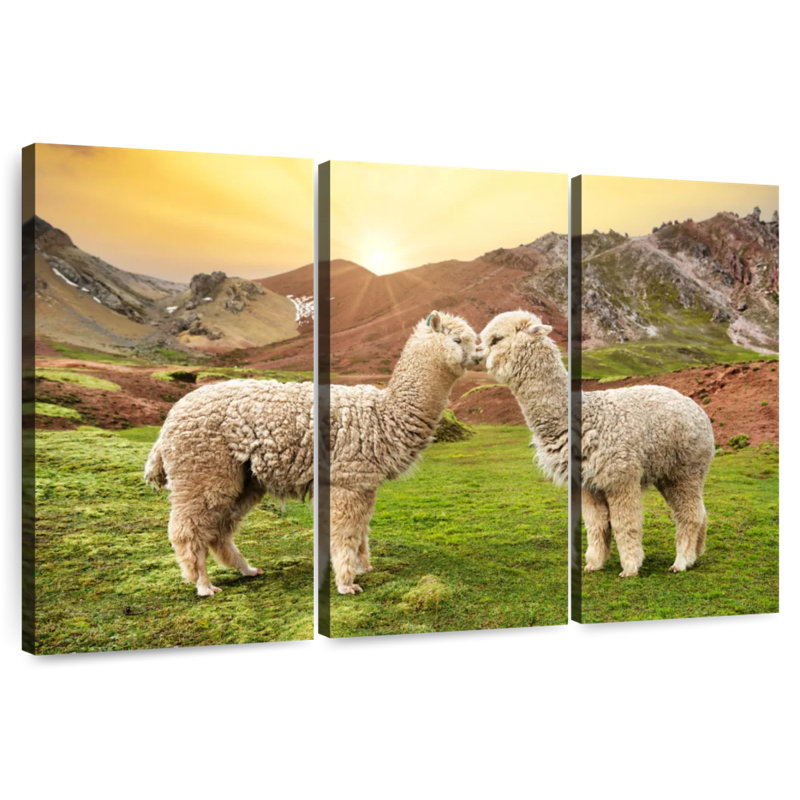 Brampt couleurs du Pérou - Alpaca Love, H 20 po x l 33 po