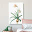 Amaryllis Broussonetii Flowers - Wrapped Canvas-55368477