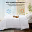 Couette édredon avec housse de couette - édredons matelassés-114162987