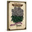 Flower Packet Begonia - Wrapped Canvas Print-228555945