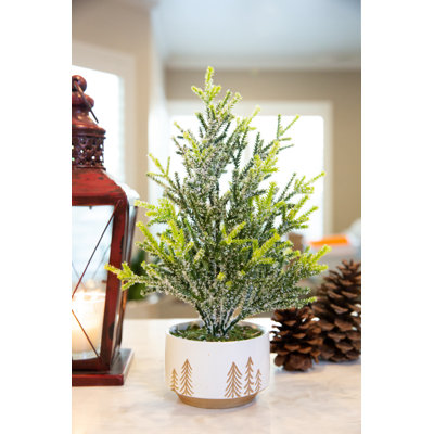 Frosted Xmas Tree in Reversed Bowl Pot