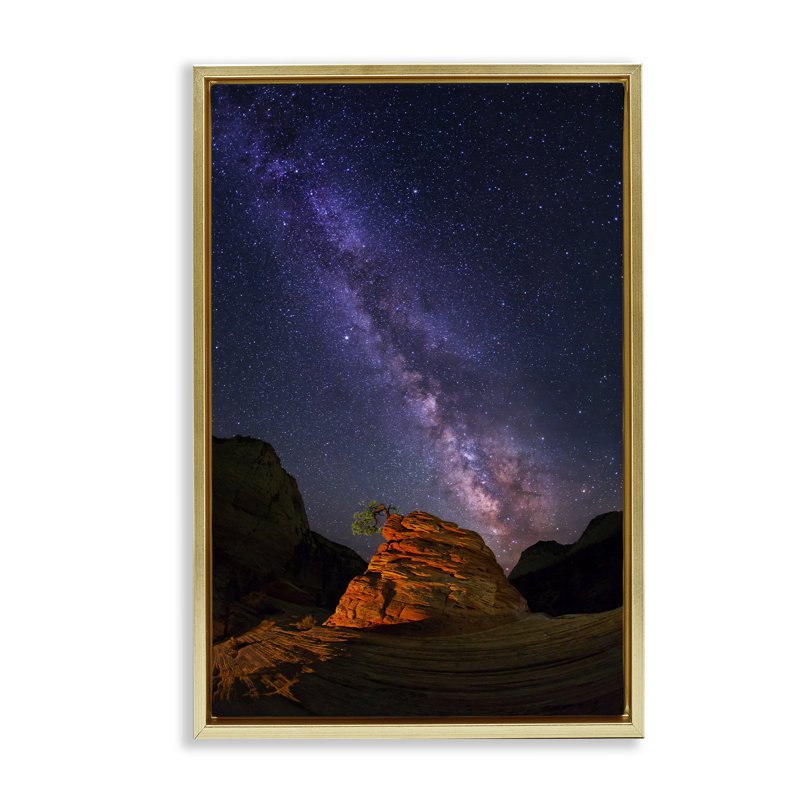 Cadre flottant Milky Way, H 25 po x l 17 po, Cadre flottant métallique doré