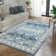 Washable Area Rug for Living Room Vintage Rococo Soft Rugs for Bedroom Stain Resistant Runner Rug for Hallway Laundry Low Pile Non Slip Distressed Accent Floor Mat Non-Shedding Foldable Rugs Indoor Office Farmhouse Decor