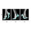3 Piece Wrapped Canvas Wall Art