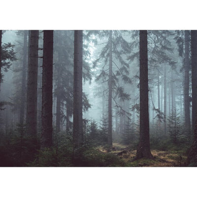 Murale forêt Foggy Pin