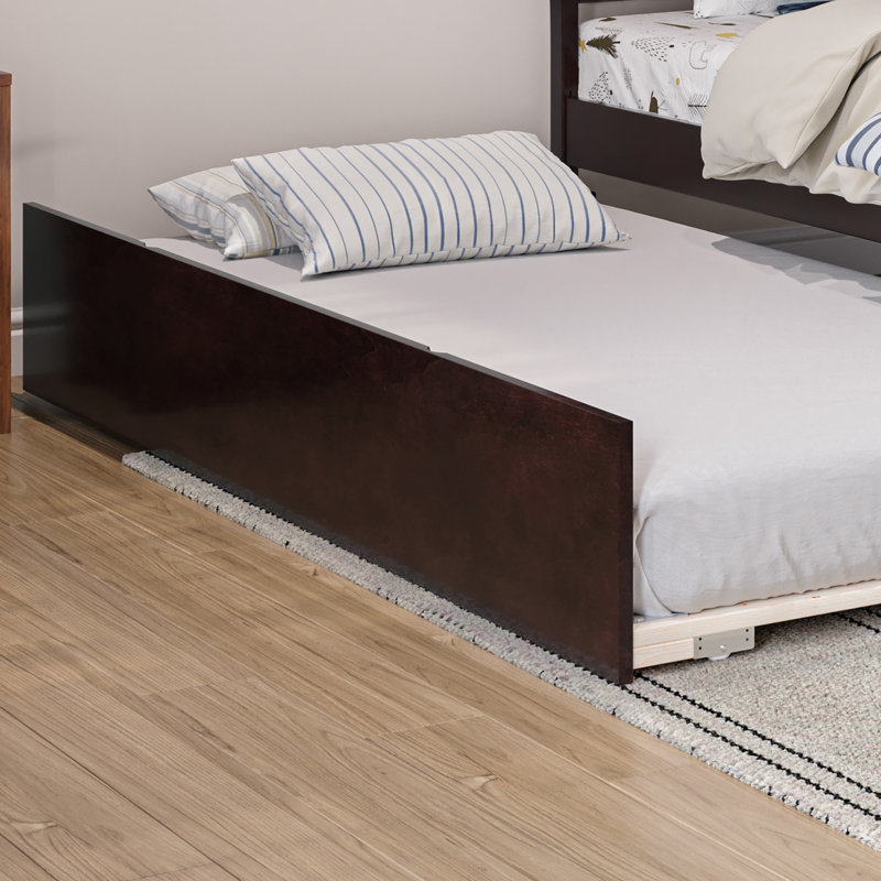 Lit gigogne escamotable en bois massif Rasnick, Espresso, Simple