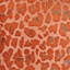 Leopard Square Velvet Pillow-11000361-11000380