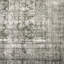 Nala Area Rug in Nala-1930712800-1938643197