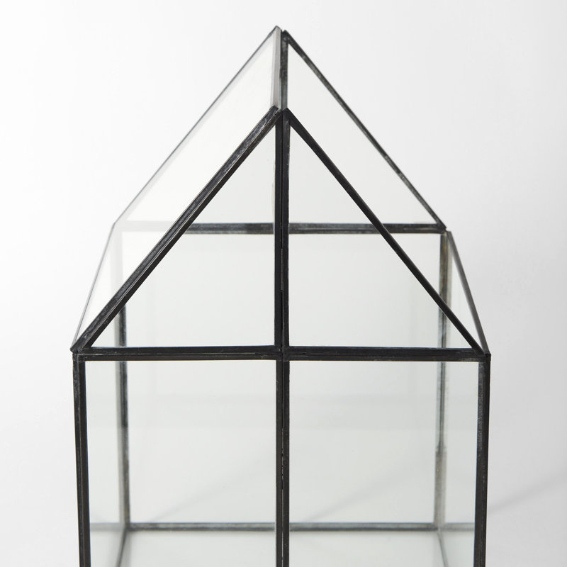 Terrarium en verre Navin, H 16,1 po x l 10,1 po x P 10,1 po
