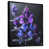 Black Floater Framed Canvas