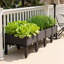 Pot Planter
