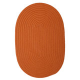 Abygale Braided Orange Rug