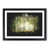 Black Framed selected