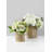 Glass Tabletop Hurricane-171610911