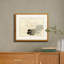 Art mural Martha Stewart Perry Street, Modern Botanical: Orchid Study, 17 po x 21 po, décor de salon et de chambre
